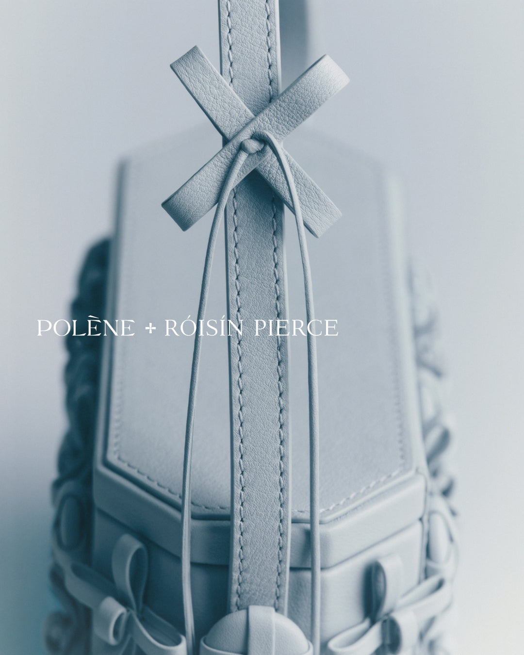 Which Polene Bag is Right for You? The Ultimate Guide to Choosing the Right Polene Bag